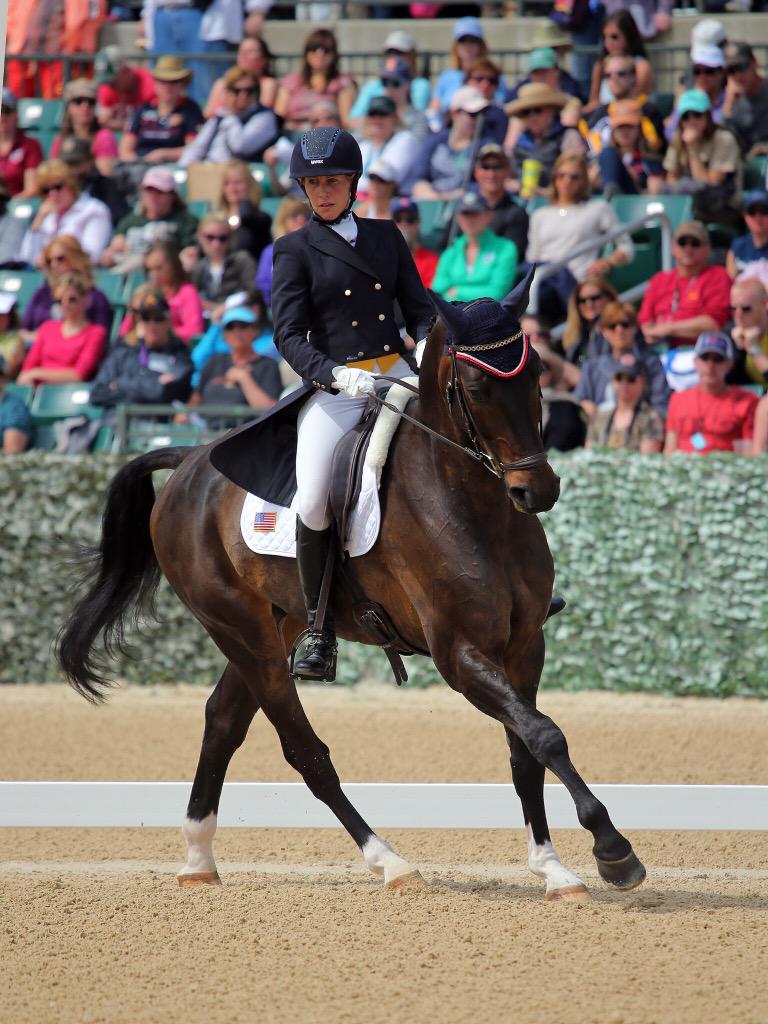 lizhalliday's tweet photo. Cool pic with the crowd behind- super chilled out Blackie doesn't seem to care #goodboy #Rolex2015 @uvexuk http://t.co/6kORwVZ6bU