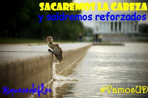 quesodeflor's tweet photo. #7finales1sueno #VamosUD #SomosMás #UDLP #SiSePuede #algolpito http://t.co/yqyJsukokG