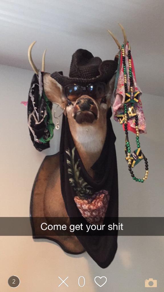 FSUYeti's tweet photo. Rudolph? http://t.co/cGMvkl9Ggn