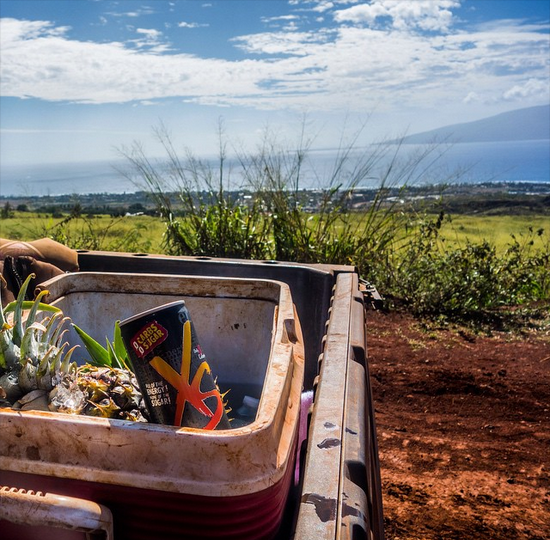 xsnation's tweet photo. How will you use #XS to #FuelYourAdventure today?
#hi #Maui #atv #OffRoad #Adventure #RevolutionNext http://t.co/YcI9BIUSWW