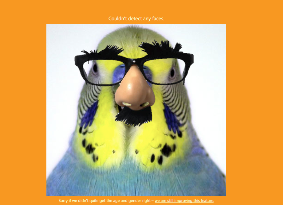 acraftycow's tweet photo. Sorry @Beakmoo It doesn't recognise your beak as a face.. #GuessHowOld http://t.co/YRmSFPI9Je