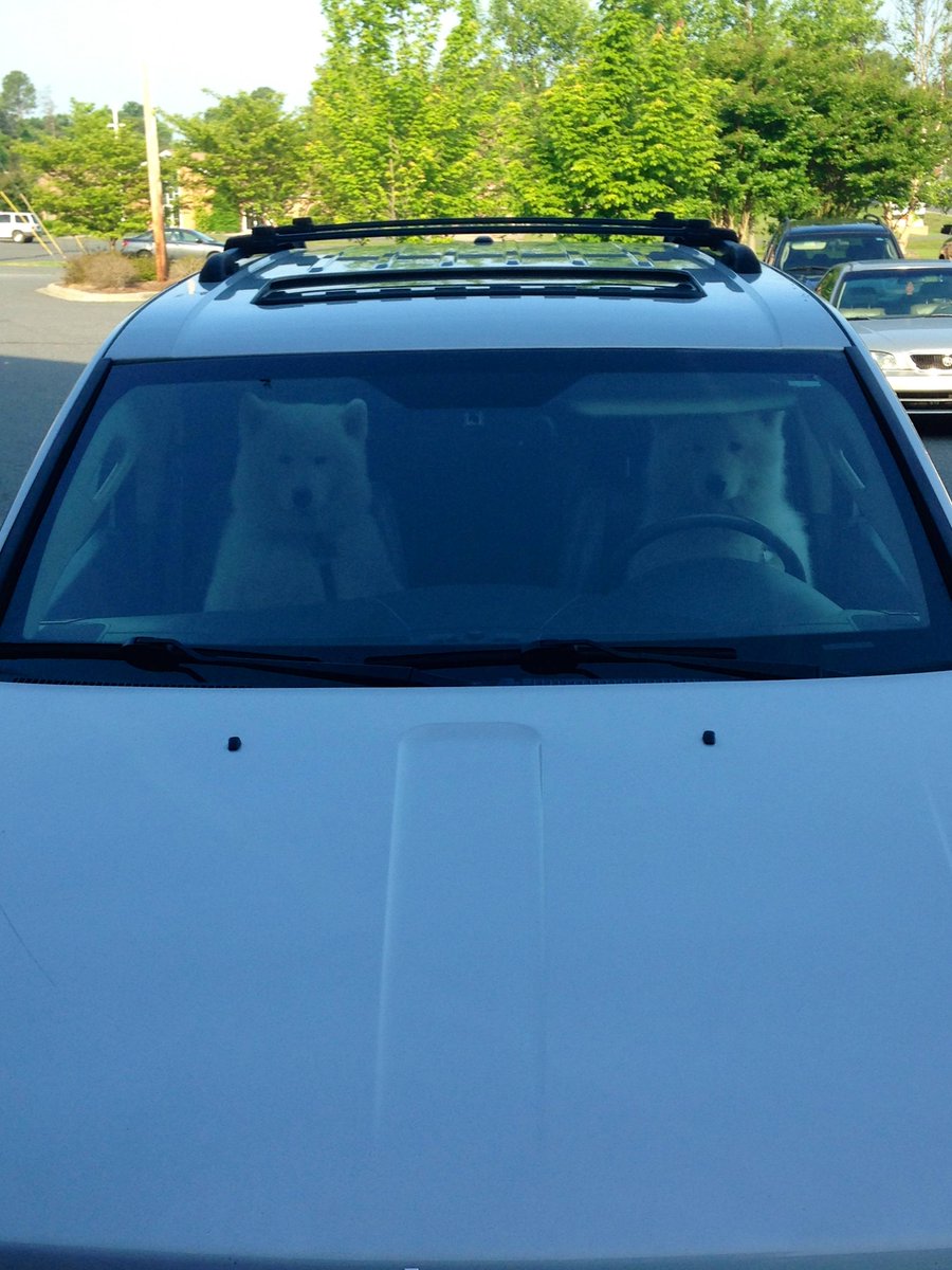 animalinyou's tweet photo. Honey, lock the doors I don't feel safe with him staring at us like that. :D http://t.co/QaExxIgMii
