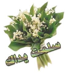 AmelBenam's tweet photo. @MBCTheXFactor @NedjimM http://t.co/KhIBd0YciB
