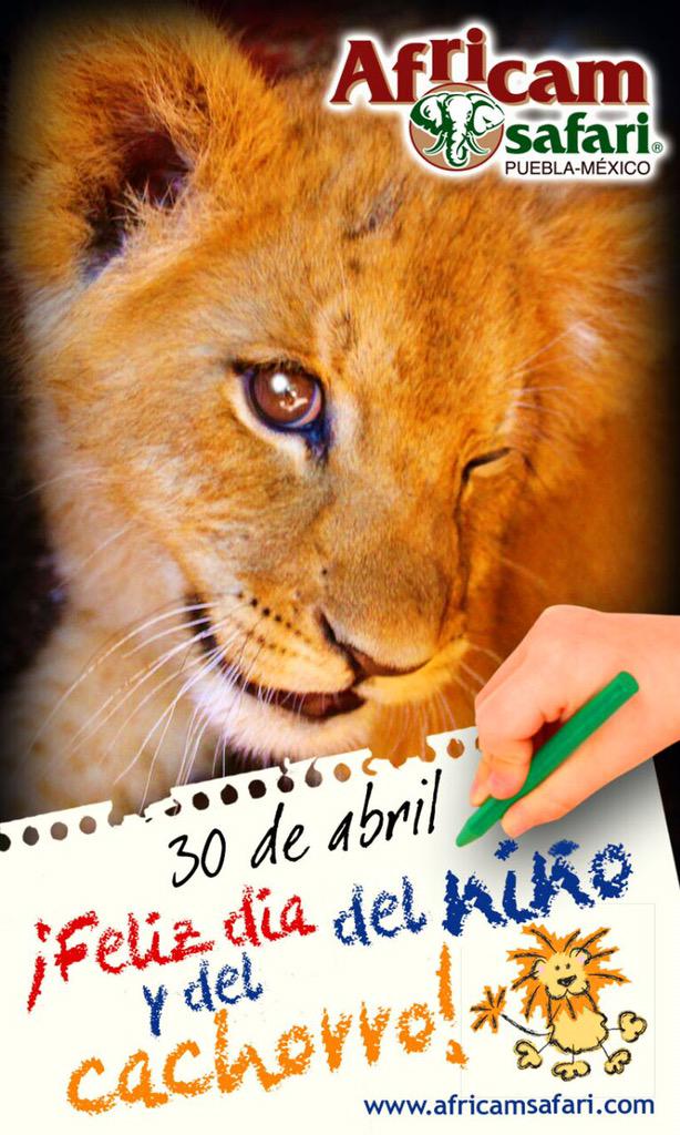 terEISHon's tweet photo. #FelizDiaDelNiño en @AfricamSafari http://t.co/0y8FS64El5