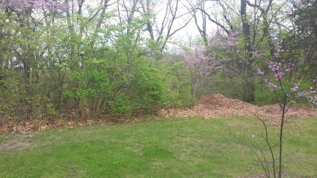 DebSoehlig's tweet photo. #springinthecountry http://t.co/jcbaoS3Qv7