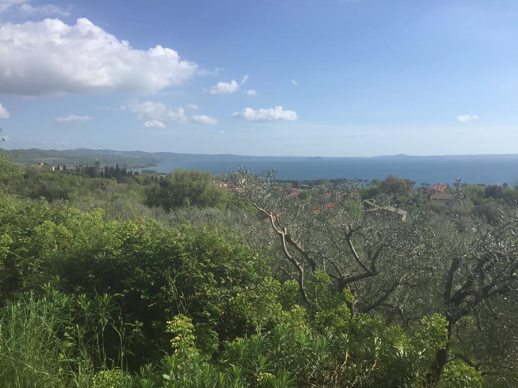 Mdrskinner's tweet photo. Day 5 - Radicofani to Montefiascone, 33.6 miles. Bitten on calf by a dog, really sore knee but only 2 days to Rome!! http://t.co/83sLeOZDrw