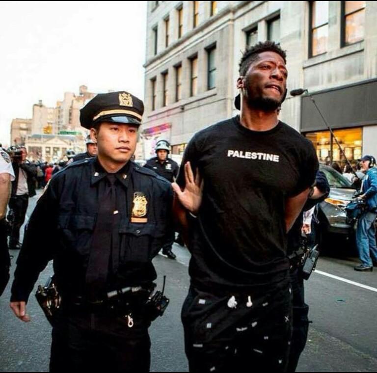 AnonMonarchs's tweet photo. Baltimore to Palestine, this world needs change. Good luck everyone protesting worldwide right now. @fergusonstream1 http://t.co/vCx3TeKSqP