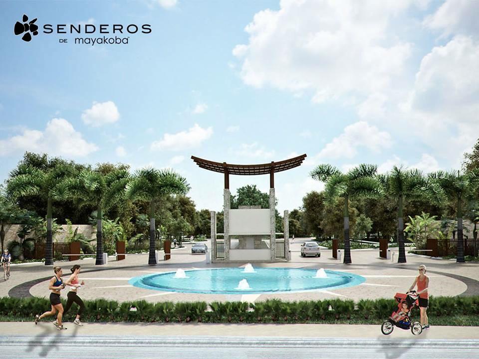 tincg88's tweet photo. Senderos de Mayakoba, informes acarrillog@me.com #senderosmayakoba #EcoChic http://t.co/5fhRIa8FQX