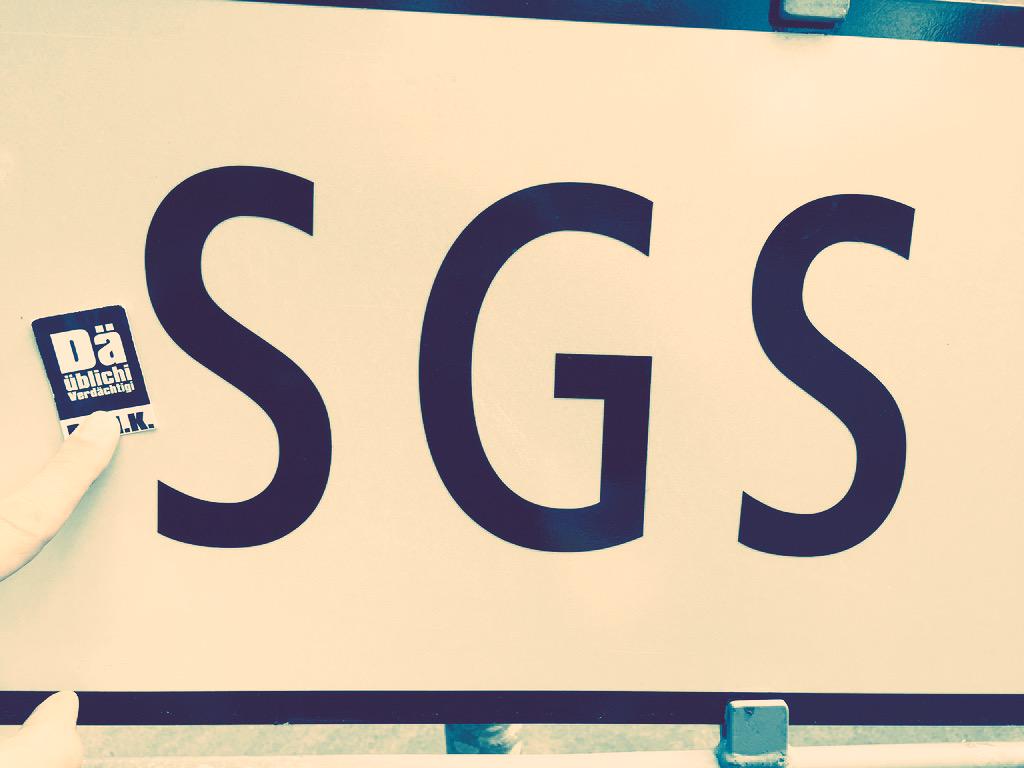 it's on! DÜV vs SGS #düvisback #düvtemai #düvgoesdemo #smashlittleWEF