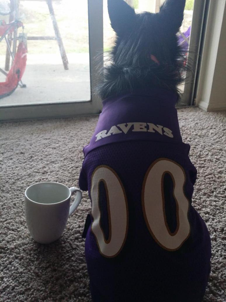 RaggedEdgeRC's tweet photo. Getting ready for the #NFLDraft2015 http://t.co/rpOji234i5