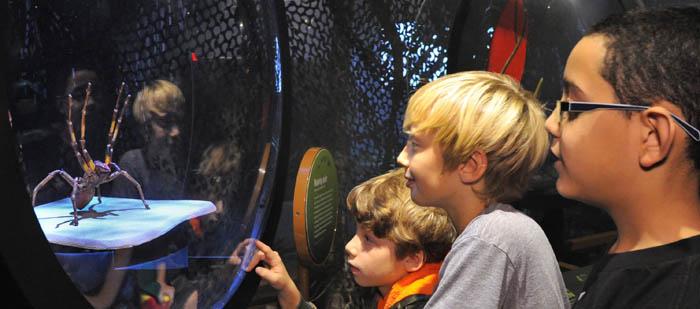 ATLMuseumWeek's tweet photo. No autographs please! Toxic animals make their #ATLMuseumWeek debut @FernbankMuseum's "The Power of Poison" exhibit http://t.co/TTsLCYjfFb