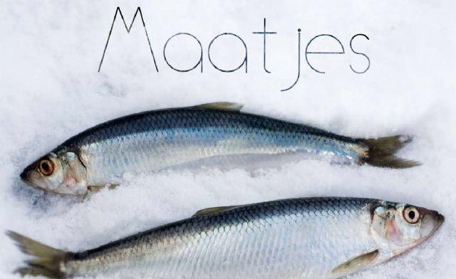 Wie neem jij mee als 'maatje' naar de Wijchense Haringparty op 12 juni