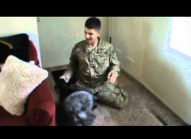 HelloSchnauzer's tweet photo. Mini #Schnauzers welcoming home #soldier 
watch video : http://t.co/3wOq5Ri1gV http://t.co/X6jQJ86qP5