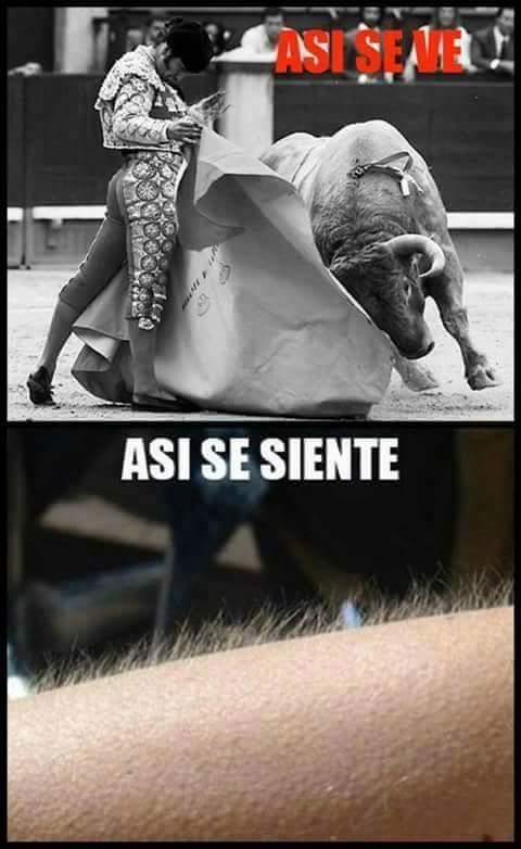 torosygalgos's tweet photo. http://t.co/FMAKu1k9v4