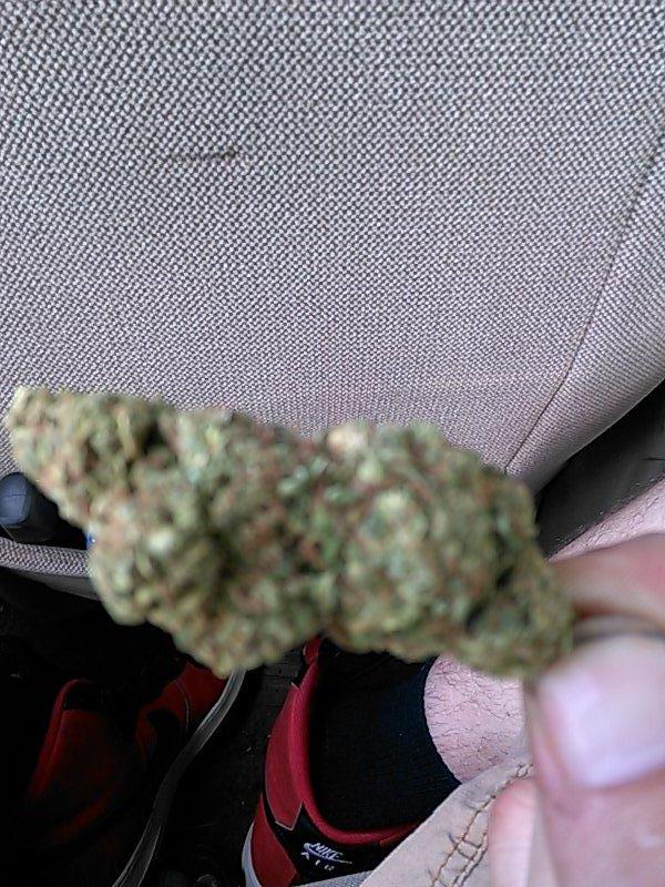 badbrad6295's tweet photo. That OG today http://t.co/BN0MKUkNLf