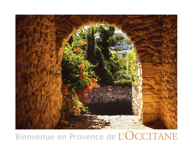 SusanYullTSC's tweet photo. L'Occitane is celebrating 2yrs @theShoppingChan with a #TodaysShowstopper. Join us at 10pm est. Perfect for Mom. http://t.co/679etYFEVw