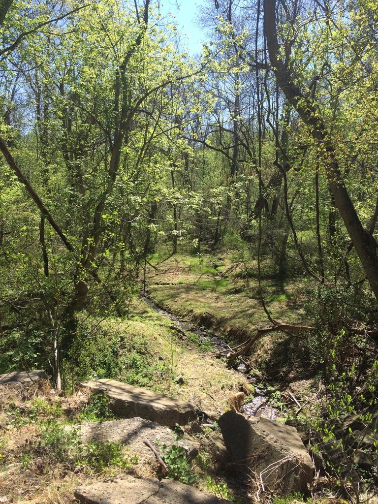 UDelFitBit's tweet photo. Go for a nature walk today! http://t.co/kXKfOsXHj2