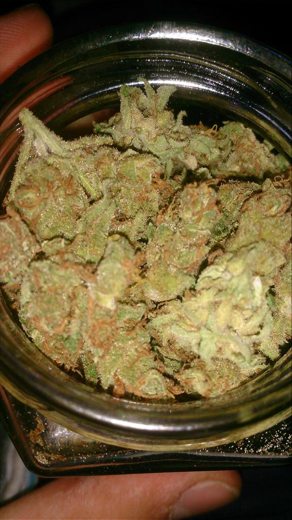 brightoncc420's tweet photo. Some strawberry amnesia 🍓 just sent in by a member. #ukcannabis can be absolutely dank! #prohibitionmustfall http://t.co/PQ3PlKhkxj