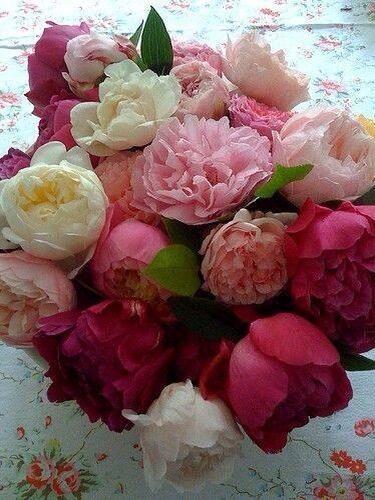 MarcoZarko's tweet photo. @EstherCld Esther
Cielo,felices sueños http://t.co/yfc2IMxAWT