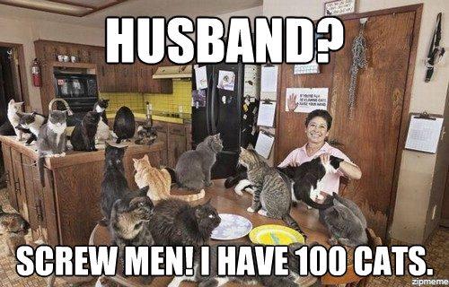 CatPorn1234's tweet photo. Can this be considered #RelationshipGoals 😅😅😅 http://t.co/ilrXShBSCH