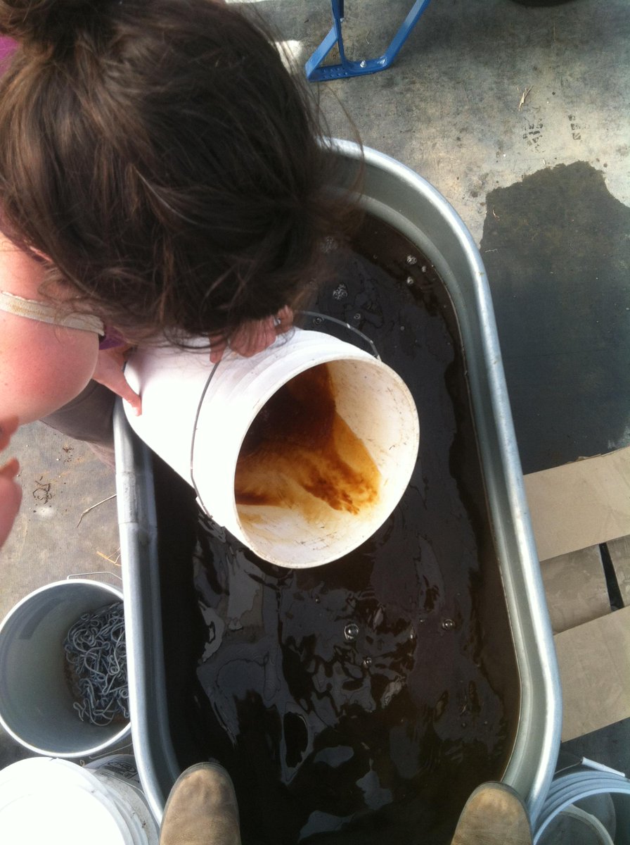FramFarm's tweet photo. Mixing up some worm casting tea. Great fertilizer for our baby plants! #organic #farming #composttea #hudsonvalley http://t.co/ZZDnKx7fKO