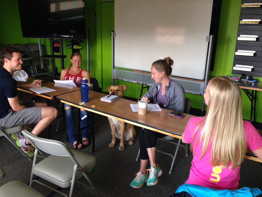 Mat Steinmetz tweet media