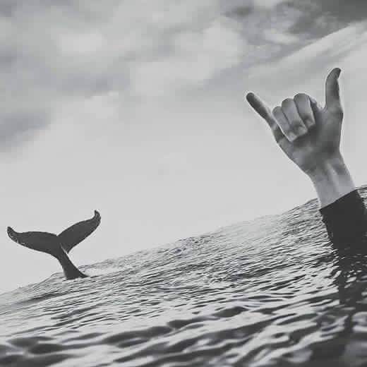 AveadoIv's tweet photo. #SHAKABOMB #ALOHA #HAVEABLESSEDDAY http://t.co/tfUFZfcpTf