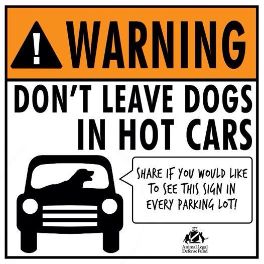 PawsCares's tweet photo. Summer is upon us! #dogs #dontleavedogsinhotcars #share http://t.co/cxItHXkEYp
