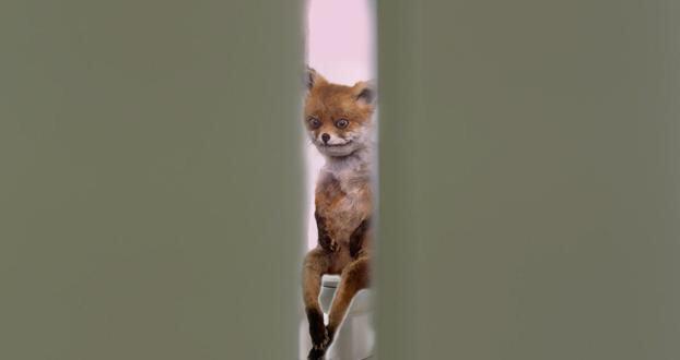 Its Psycho Lord tweet media