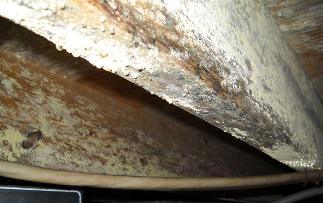 RainbowIntSC's tweet image. If you're unsure whether or not you have a #moldproblem, dial 864-268-2221. We offer a FREE in-home consultation!