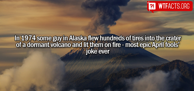 WTFactsOrg's tweet image. Read the full story here: WTFacts.org/LaTlV