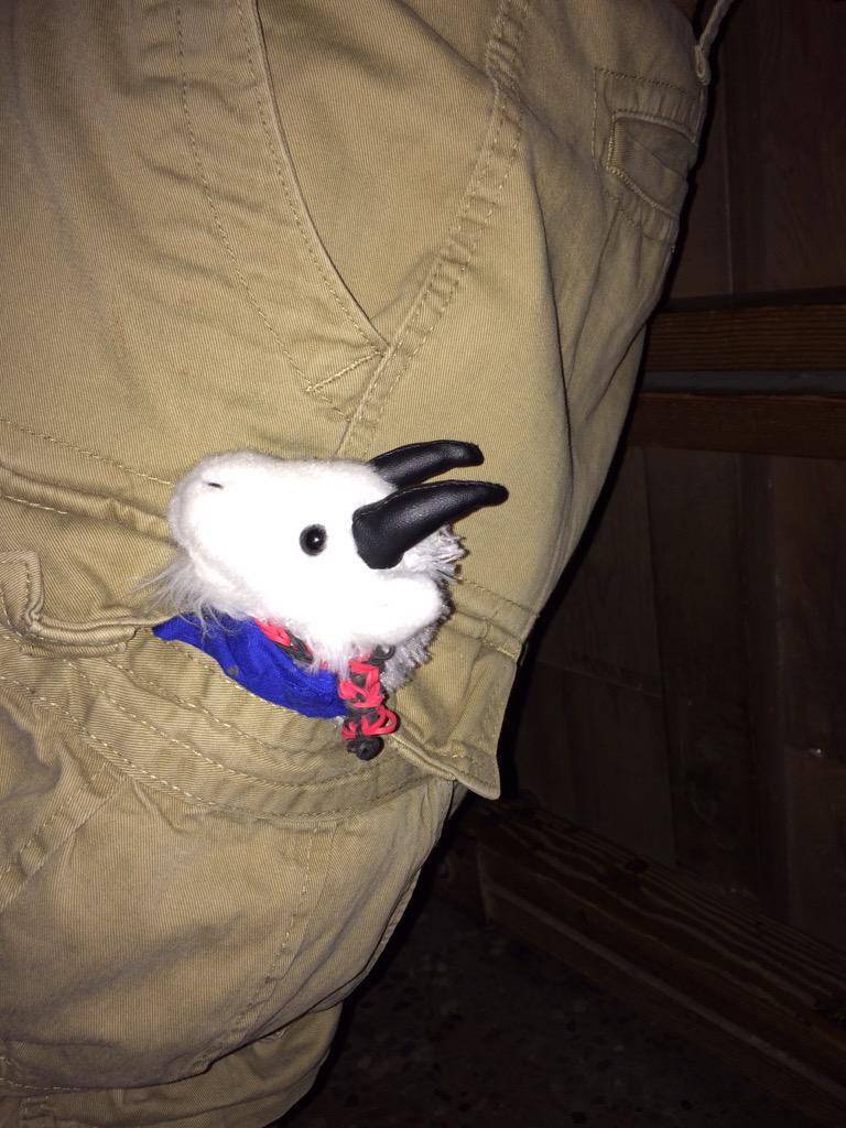 EdTheGoat58 tweet picture