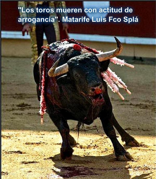 subversivos_'s tweet photo. Quien es cruel con los animales no puede ser buena persona. Arthur Schopenhauer
#Tauromaquia http://t.co/sy2vq3XcNJ