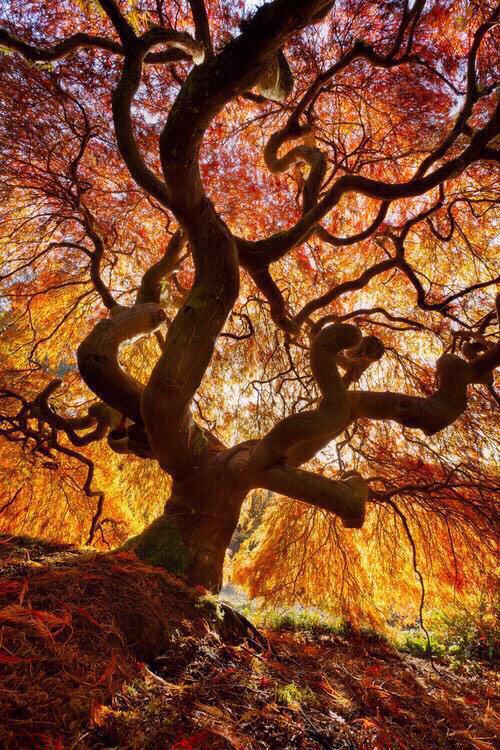 xniversxl's tweet photo. YOUniverse http://t.co/XSqfH8Wlfj