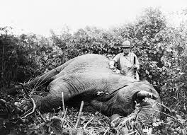 TRAHS15's tweet photo. Is it hunting season yet?? http://t.co/FSw4hzrWyO