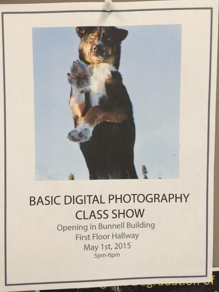 UAF Admissions tweet media