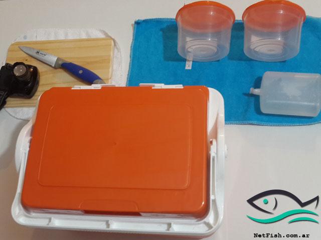 netfishweb tweet picture