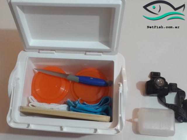 netfishweb tweet picture