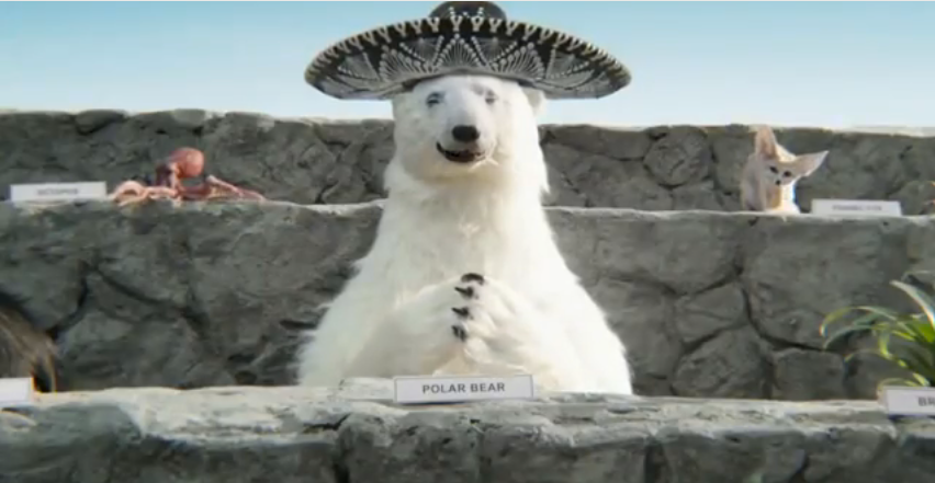 AvosFromMexico's tweet photo. #TBT to the #FirstDraftEver and our favorite Polar Bear. Have fun watching the #NFLDraft tonight! http://t.co/9rPMmPQ65F