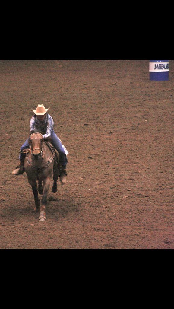 VanGundy Stables (@flybygeorge) on Twitter photo 