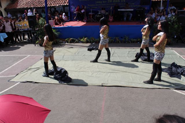 Ladies Star Skill tweet media