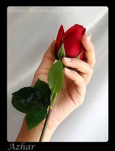 weyshsvgs's tweet photo. @SimplyUnique3 http://t.co/86XCrxyRRn