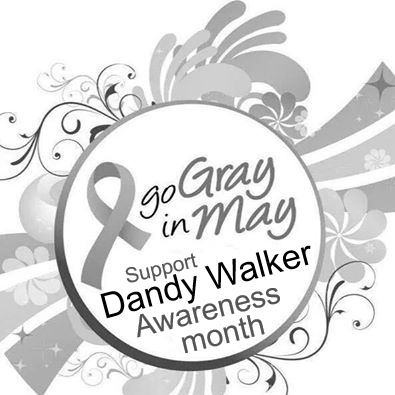 sheree0128's tweet photo. #TheScriptFamily Please help me n wear gray in May! Proud mom of a Dandy Walker Warrior, May is #DandyWalkerAwareness http://t.co/tdDVadJYrx
