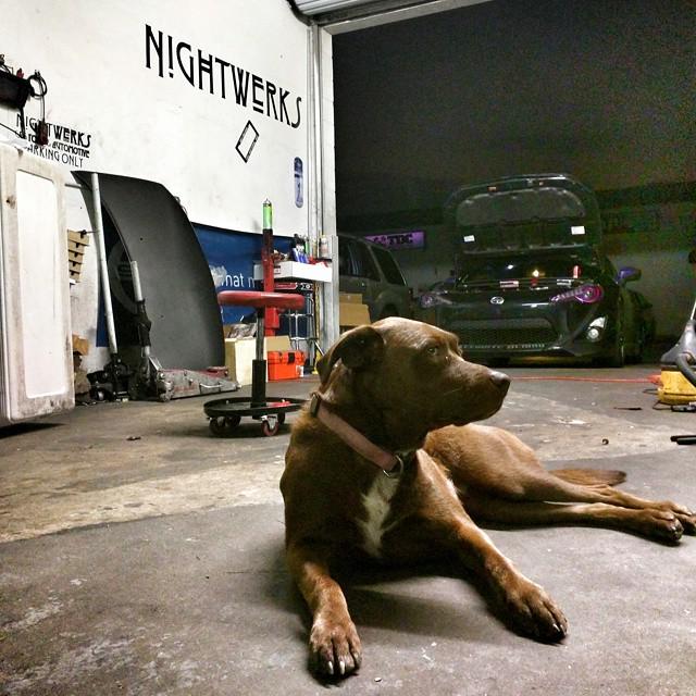 RASEC29's tweet image. Chillin #Nightwerks #Scionlife #Scion #FRS ift.tt/1c0GIVT