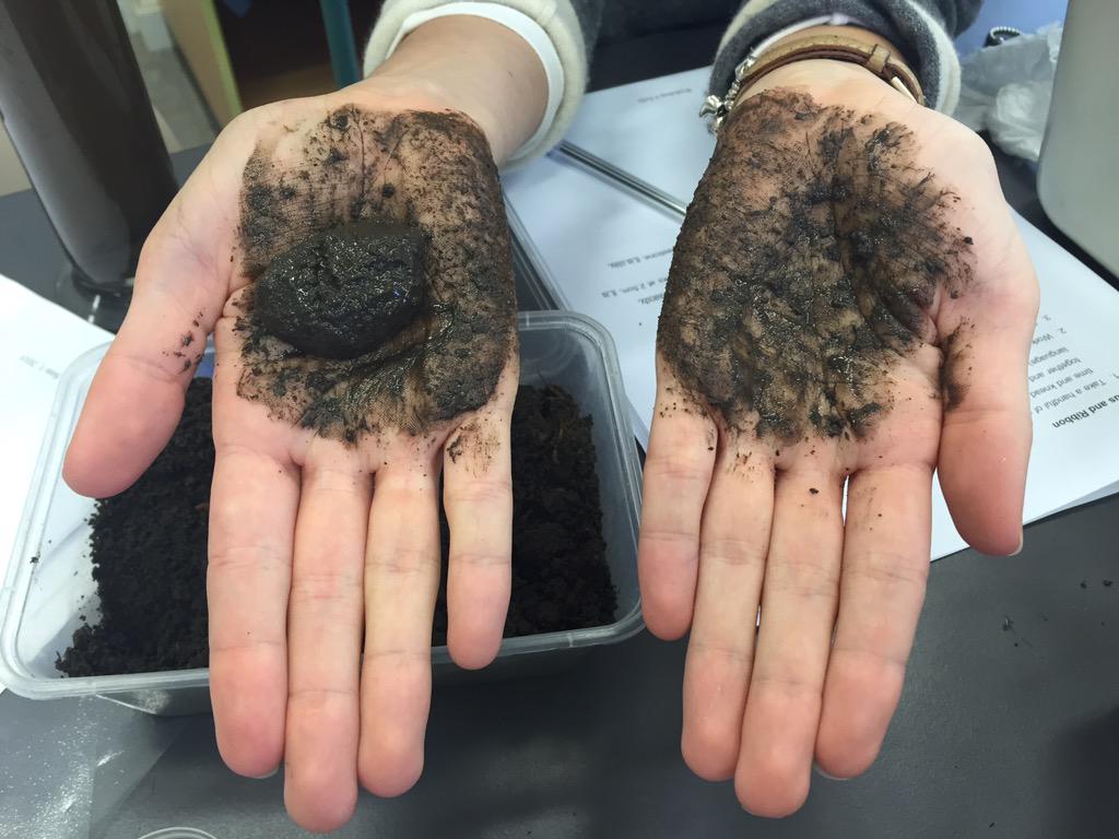 emmatux88's tweet photo. Getting down and dirty with soil testing in science. #ACUedu_452 @TashMale @jessmlaw64 http://t.co/F3RTciS7WS