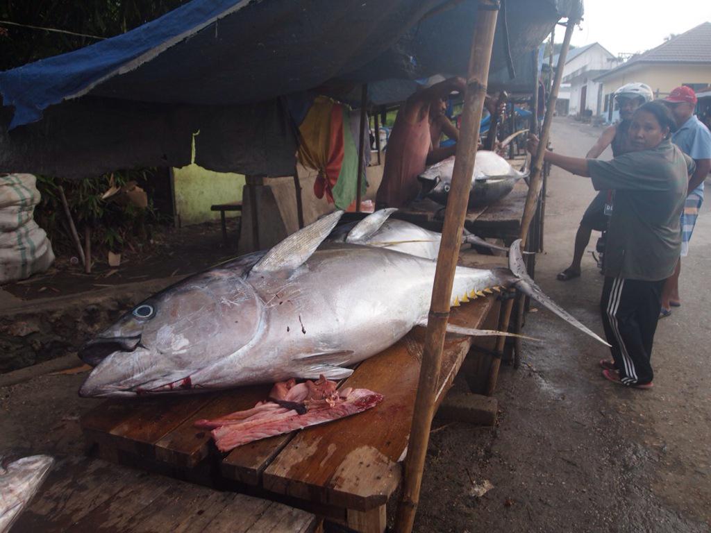 Very nice! “<a href="/la_abdie/">Mohamad Abdi</a>: Ikan Tuna di pasar rakyat pulau Kisar, Maluku Barat Daya. Pulau kecil punya potensi ”