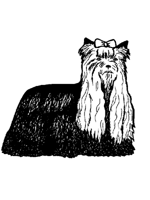 fidofinder's tweet photo. Lost dog Sheila in Pomona, CA US (91768) #lostdog http://t.co/5utCZC2K9e http://t.co/0SJpCNfUub
