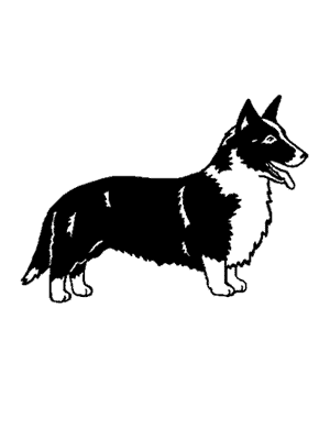 fidofinder's tweet photo. Lost dog Dixie in Austin, TX US (78745) #lostdog http://t.co/J59onmok0Q http://t.co/dfZ66ndqJV