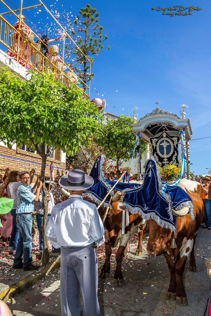 RomeraElCampill's tweet photo. ROMERÍA 2015. EL CAMPILLO HUELVA. @huelvaturismo @DescubreHuelva @MasHuelva http://t.co/a9We77f1J3