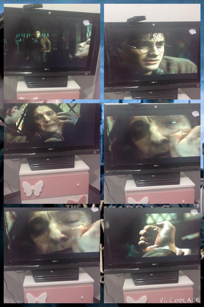 Brenda Rojas 🌙 tweet media